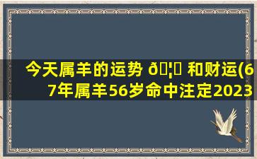 今天属羊的运势 🦅 和财运(67年属羊56岁命中注定2023感情运)